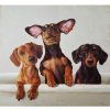 Wall Art * | Original 12X12 Three Dogs In Bath Tub Canvas Wall Art