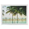 Wall Art * | Classical Framed Tropical Print Under Glass, 25 19