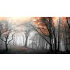 Wall Art * | Top Sellers Autumn Woods Canvas Wall Art, 60 36