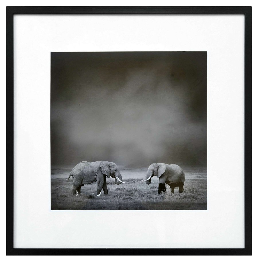 Wall Art * | Popular Glass Framed Image Of Elephants Wall Art, 25