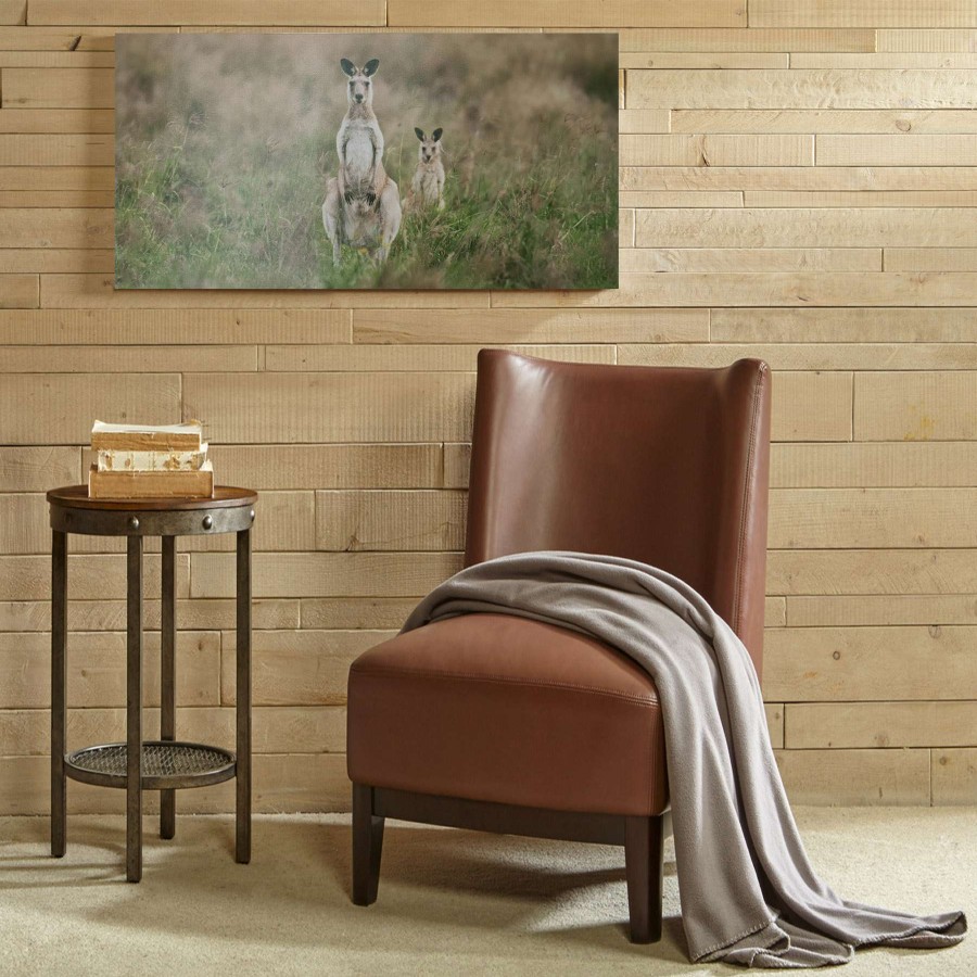 Wall Art * | Classical Kangaroo Canvas Wall Art, 24 12