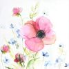 Wall Art * | Excellent Early Bloom Canvas Wall Art, 24