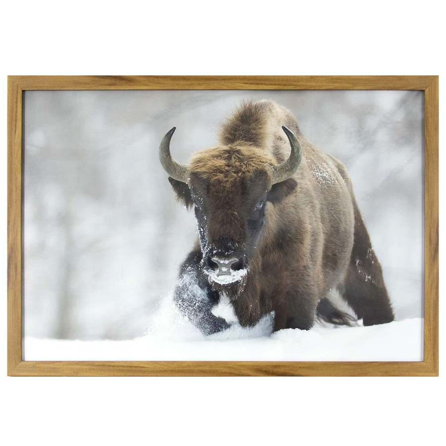 Wall Art * | Quick Delivery Framed Buffalo Wall Art, 27 18