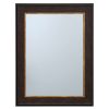 Mirrors * | Top Sellers 22X28 Brown With Gold Framed Mirror