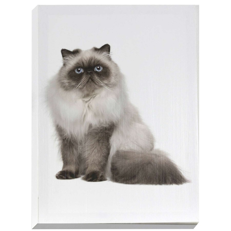 Wall Art * | Hot Sell Desaturated Cat Canvas Wall Art, 12 16