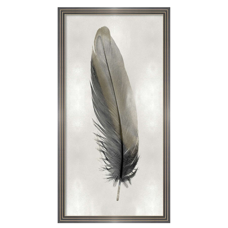 Wall Art * | Top Sellers Laila Ali 20X38 Framed Feather Print Under Glass