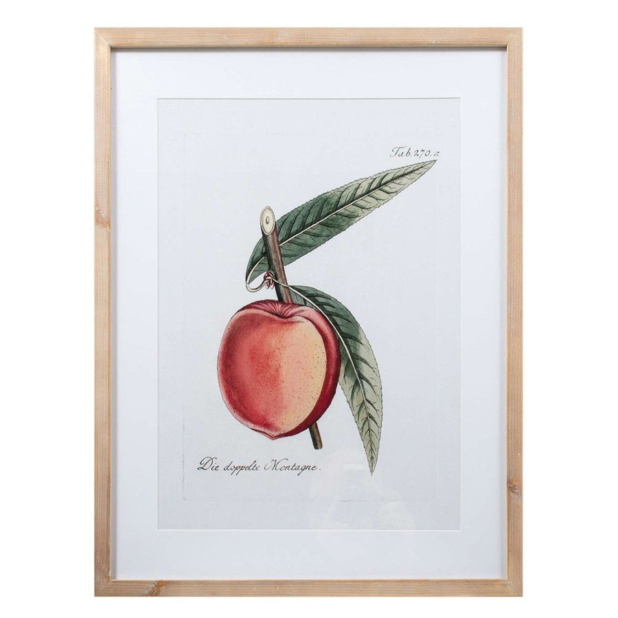 Wall Art * | Quick Delivery Framed Peach Art Under Glass, 17 21