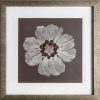 Wall Art * | Best Price 20X20 Floral Embroidered Framed/Glass Art