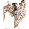 Wall Art * | Good Quality Giraffe Family Portrait Canvas Wall Art, 12 16