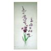 Wall Art * | Discounts Grace Mitchell Fresh Cut Lilac Canvas Wall Art, 12 24