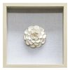 Wall Art * | Popular Grace Mitchell Glass Framed White Flower, 18